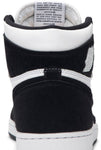 Air Jordan 1 Retro High OG 'Twist'